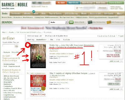 Bouncing_Back_Shannon_Panzo_Bestseller_Barnes_Noble Bouncing Back - Thriving in Changing Times, # 1 Bestseller at Barnes & Noble Bookstore. Co - Author Shannon Panzo